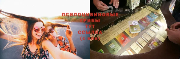 твердый Надым