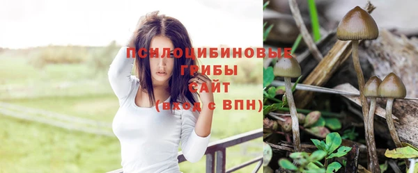 таблы Нефтегорск