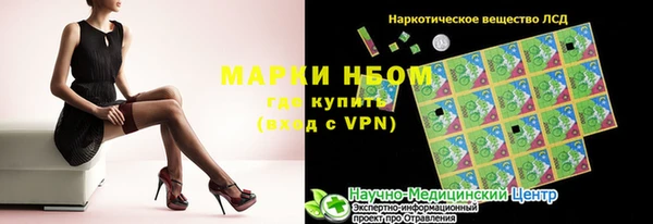 твердый Надым