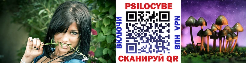 Галлюциногенные грибы прущие грибы  Рославль 